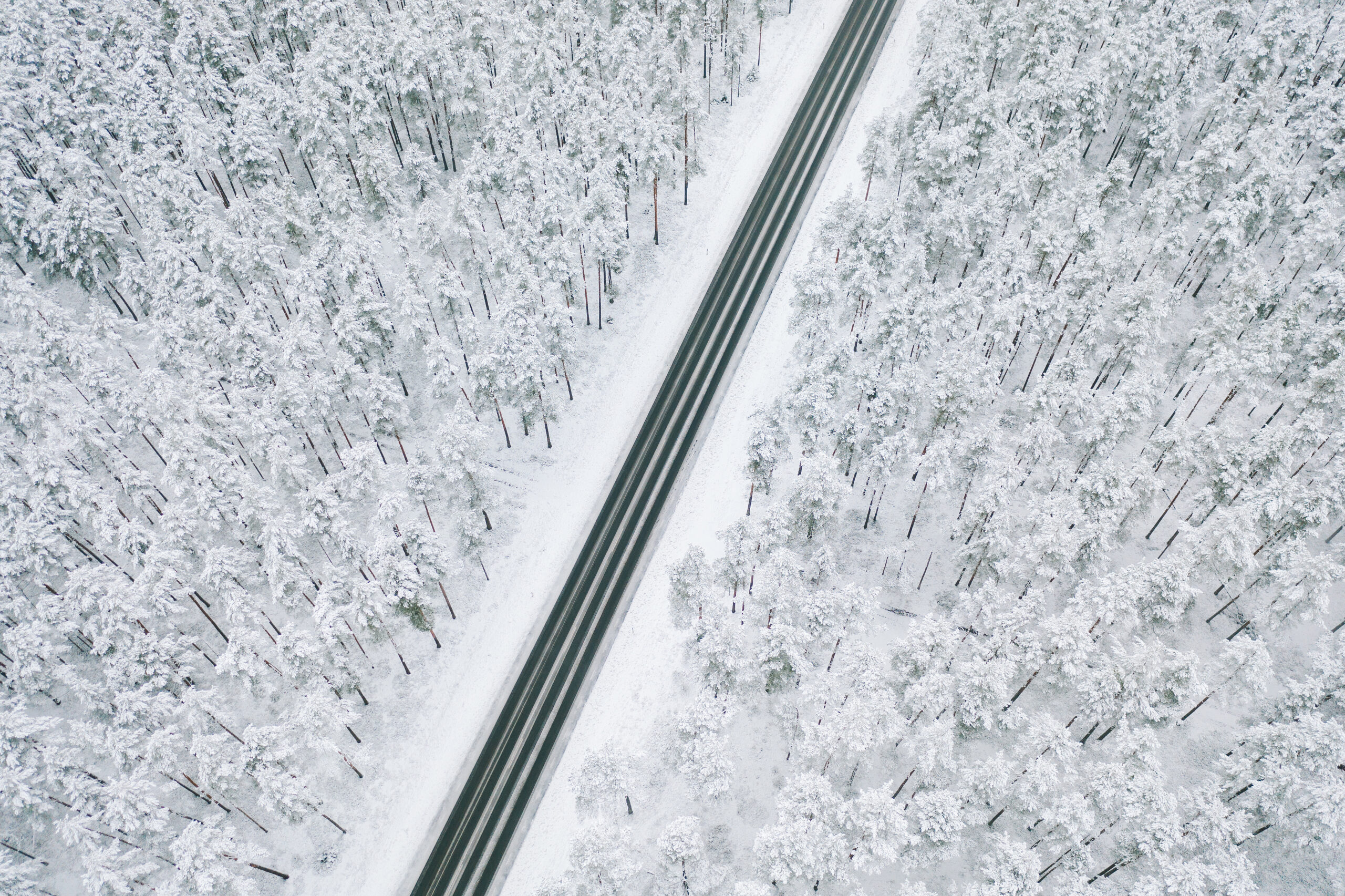 High angle view of road amidst snow covered trees.